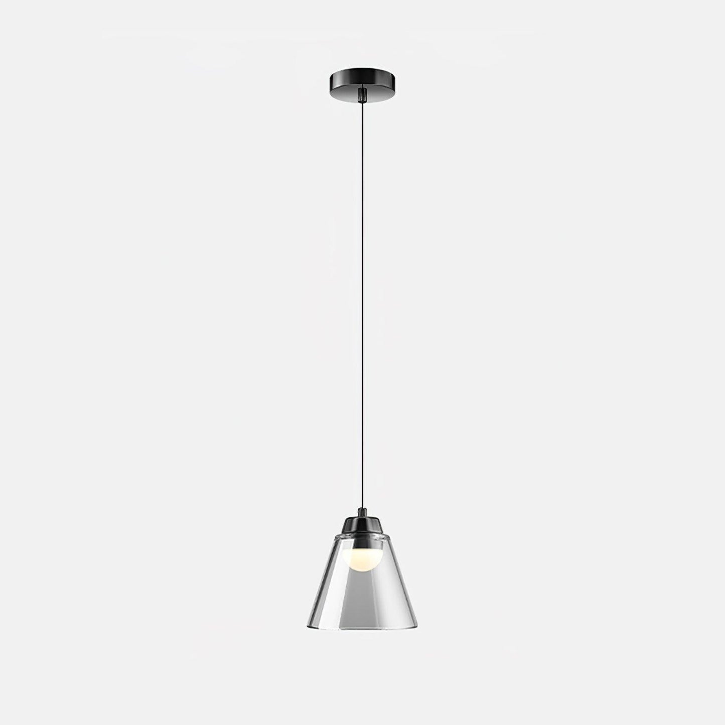 Clear Glass Pendant Lamp with Integrated LED