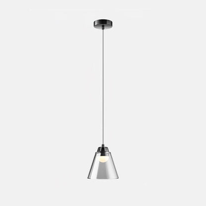 Clear Glass Pendant Lamp with Integrated LED