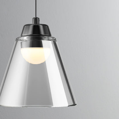 Clear Glass Pendant Lamp with Integrated LED